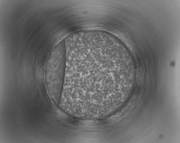 X0000116440897201001191529