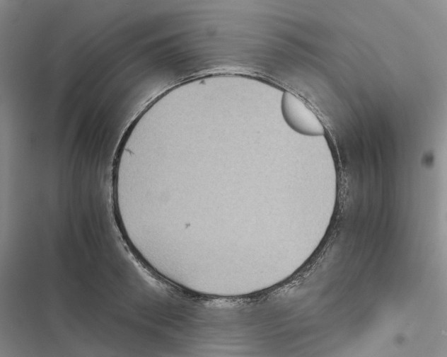 X0000116440898201001191529