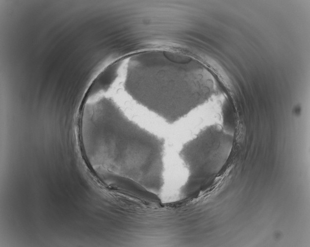 X0000116440899201001191529