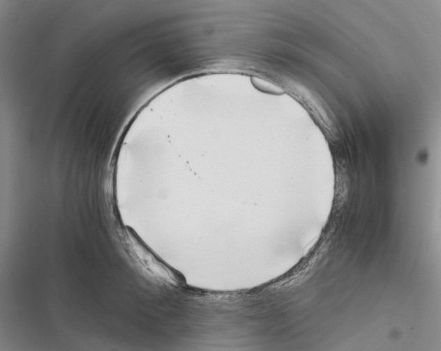 X0000116440900201001191529