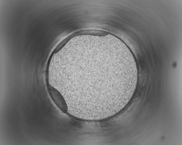 X0000116440901201001191529