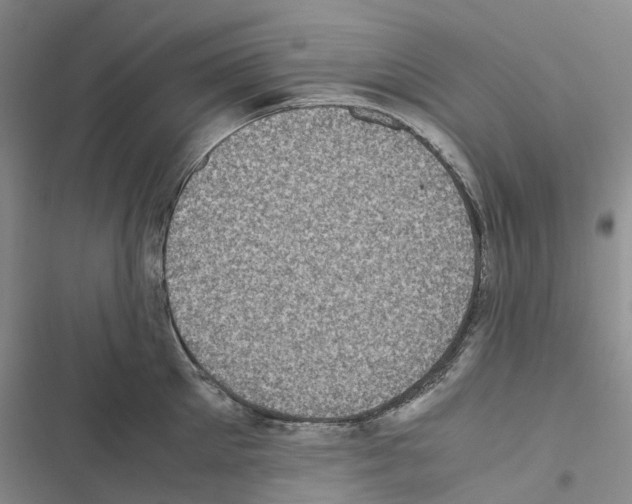 X0000116440905201001191529