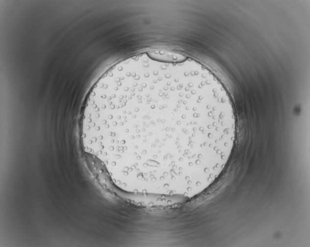 X0000116440906201001191529