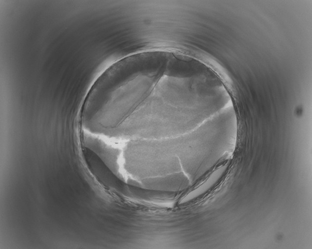 X0000116440907201001191529