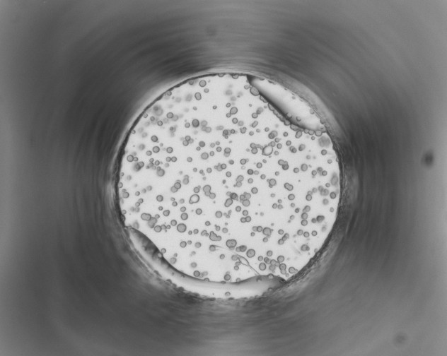 X0000116440908201001191529