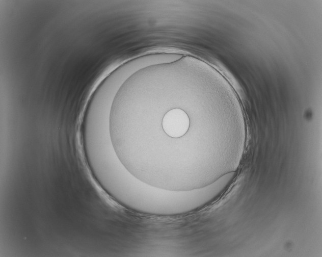 X0000116440909201001191529