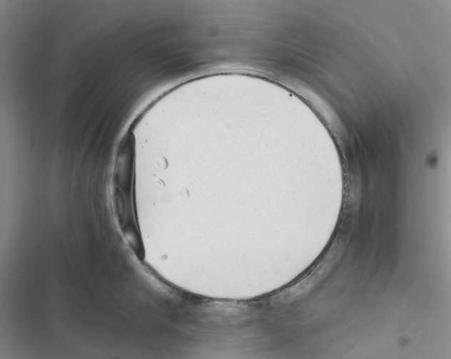 X0000116440910201001191529