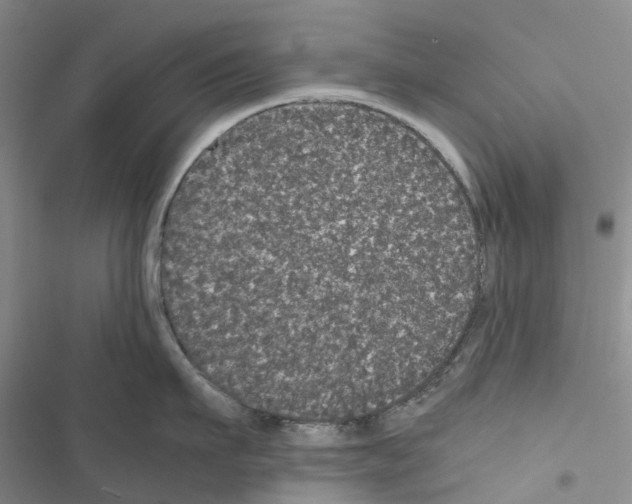 X0000116440911201001191529