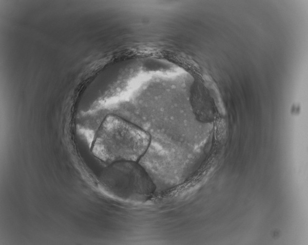 X0000116440913201001191528