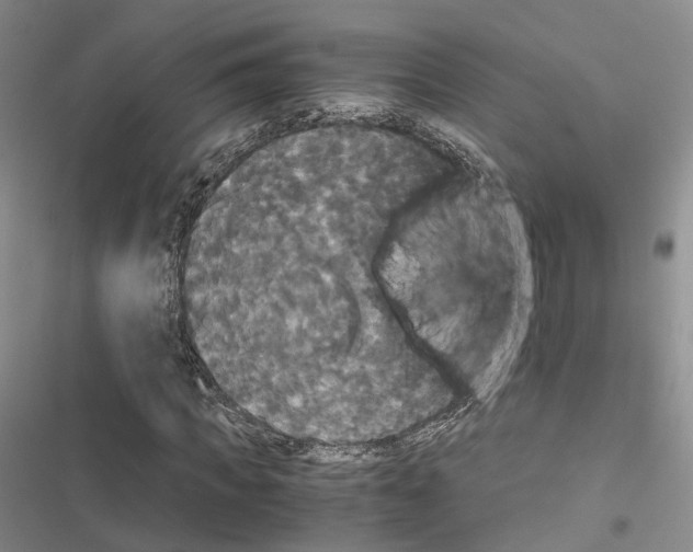 X0000116440917201001191528