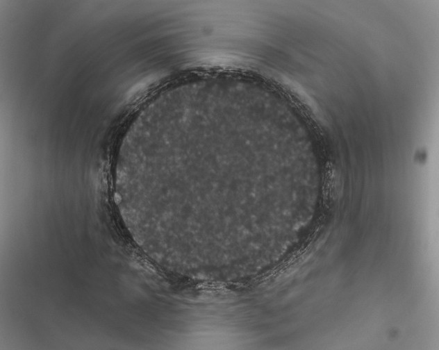 X0000116440918201001191528