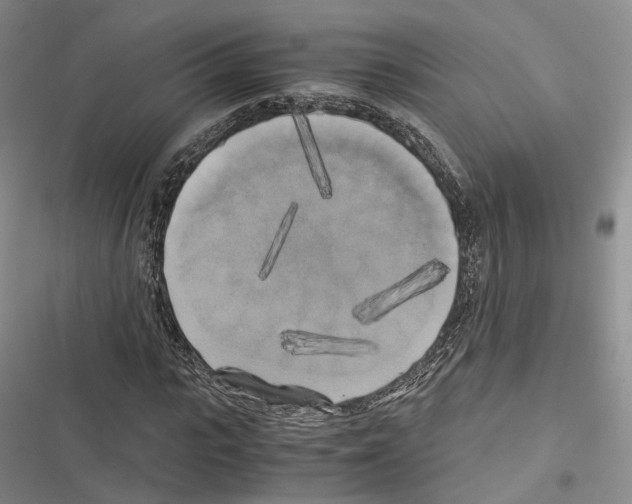 X0000116440919201001191528