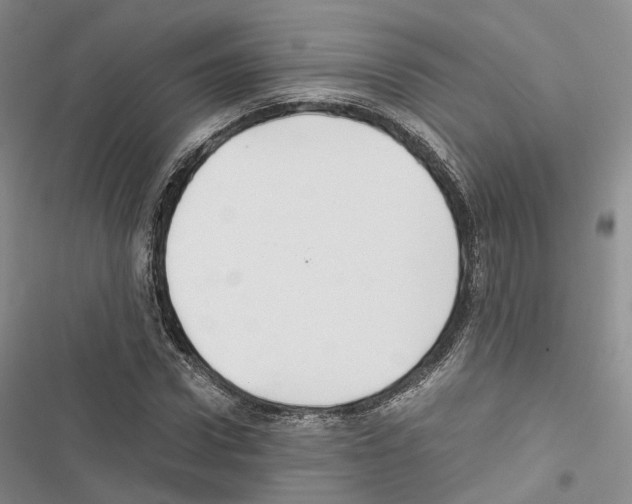 X0000116440922201001191528