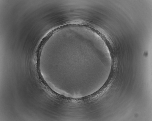 X0000116440923201001191528