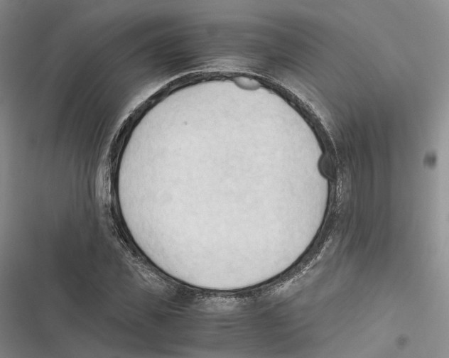 X0000116440925201001191528