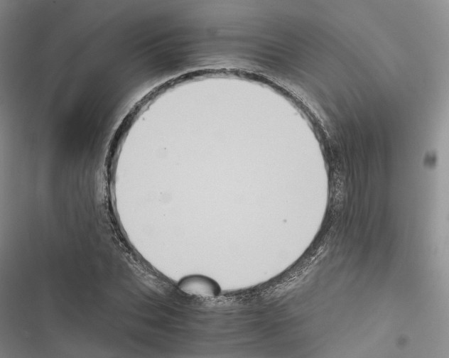 X0000116440927201001191529