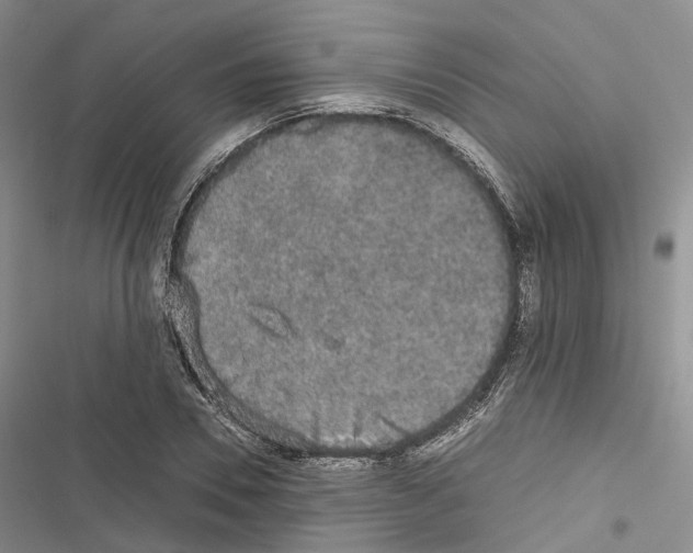 X0000116440930201001191529