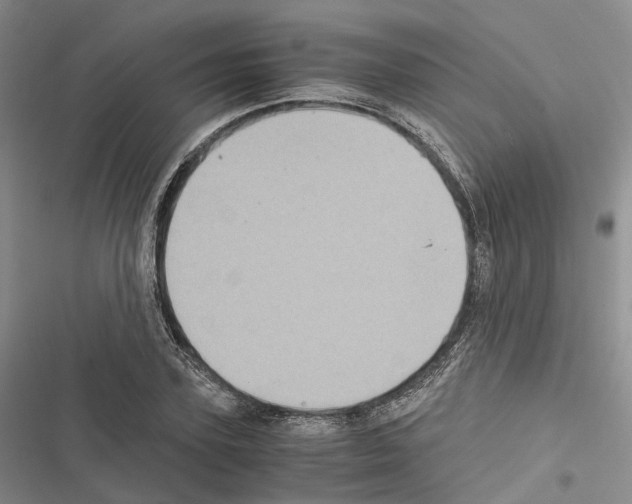 X0000116440931201001191529