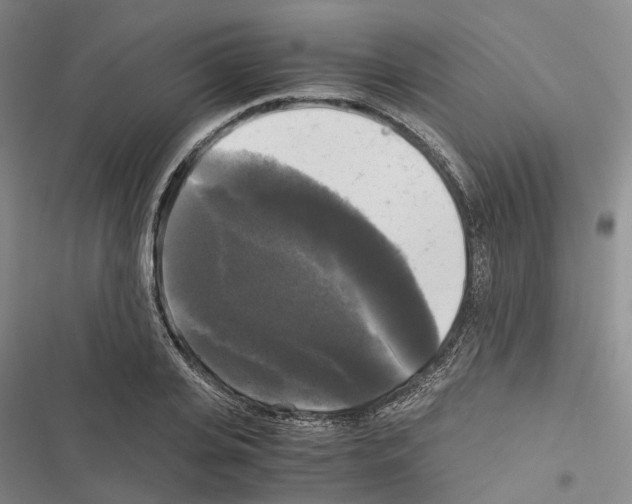 X0000116440935201001191529