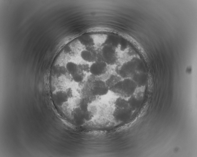 X0000116440937201001191529