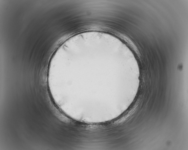 X0000116440938201001191529