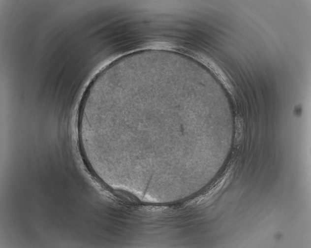 X0000116440939201001191529