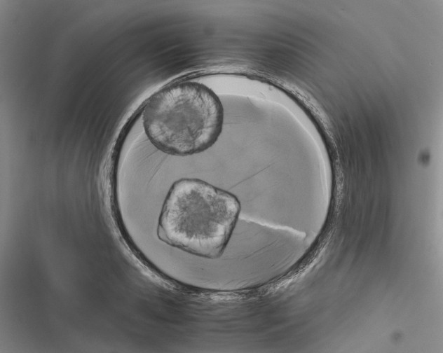 X0000116440941201001191529