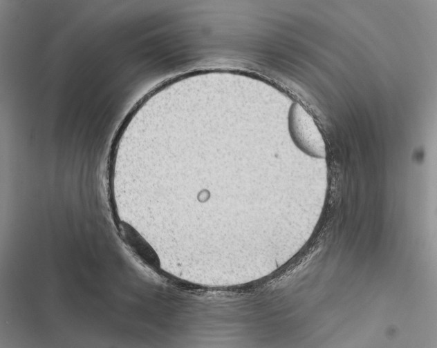 X0000116440942201001191529