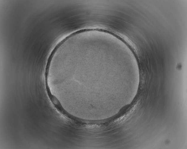 X0000116440943201001191529