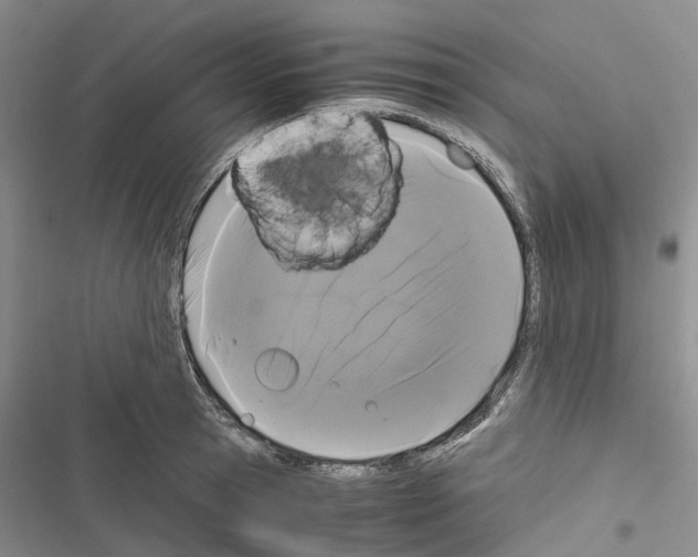 X0000116440945201001191529