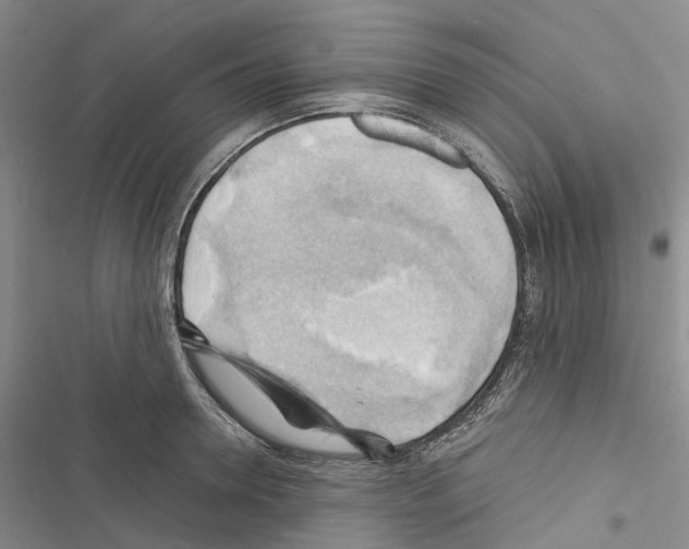 X0000116440946201001191529