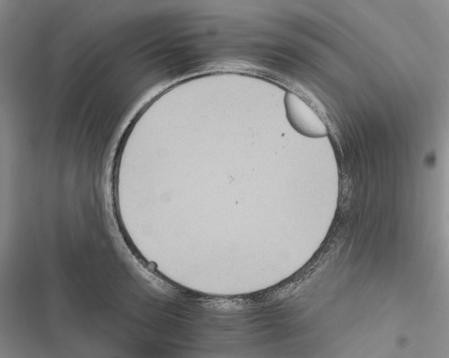 X0000116440947201001191529