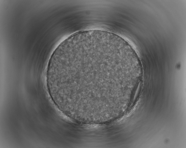 X0000116440949201001191529