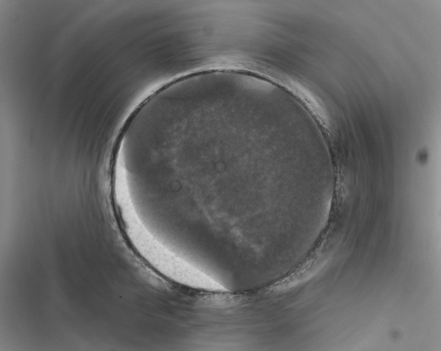 X0000116440950201001191529