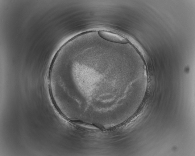 X0000116440951201001191529