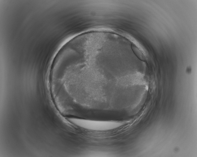 X0000116440959201001191529