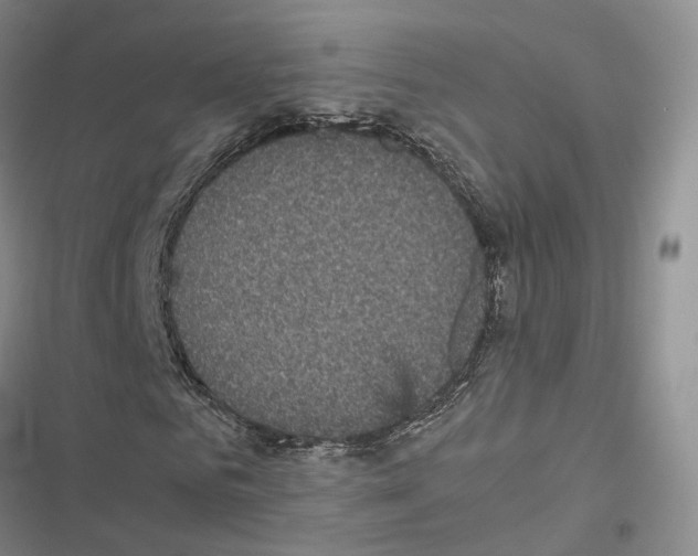 X0000116440961201001191528