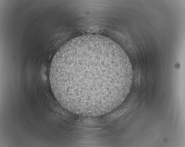 X0000116440962201001191528