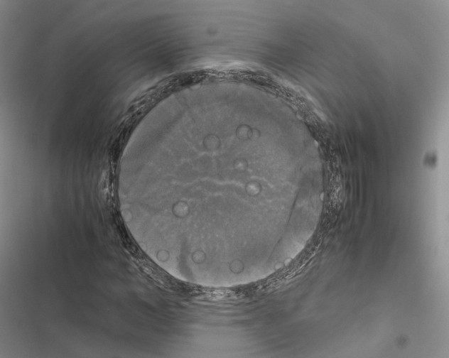 X0000116440966201001191528