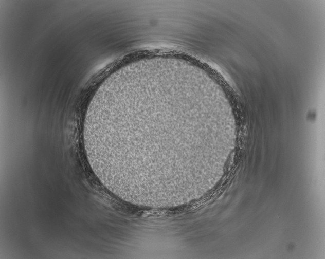 X0000116440967201001191528