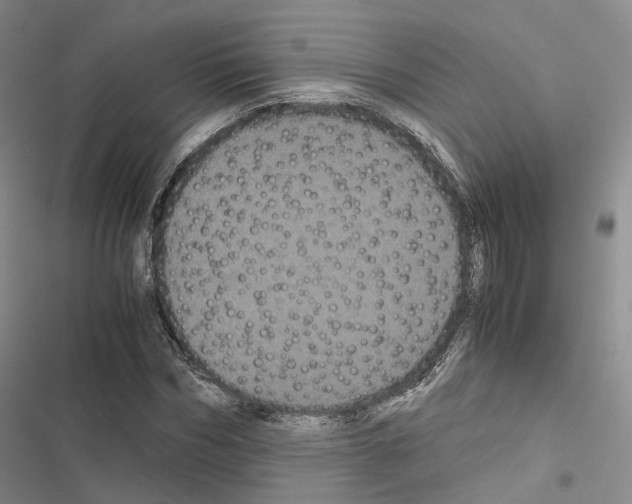 X0000116440970201001191528