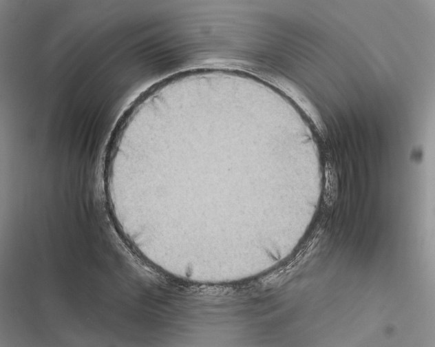 X0000116440972201001191528