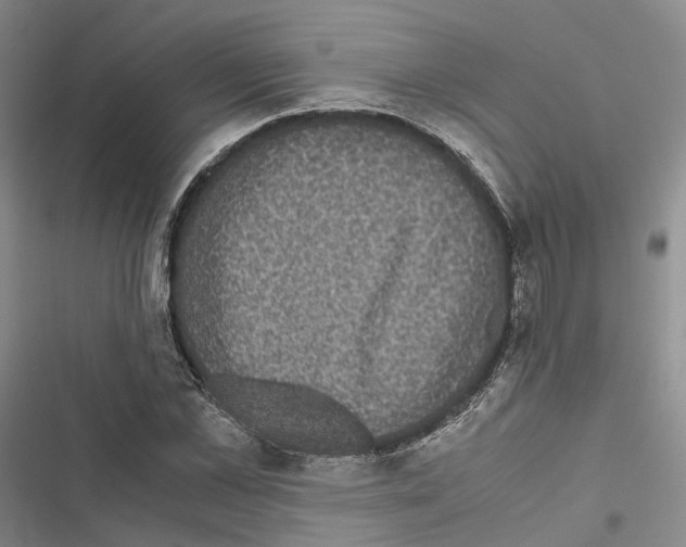 X0000116440973201001191528