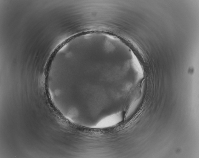 X0000116440975201001191528