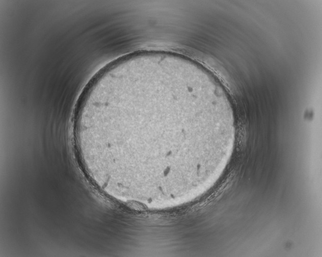 X0000116440976201001191528