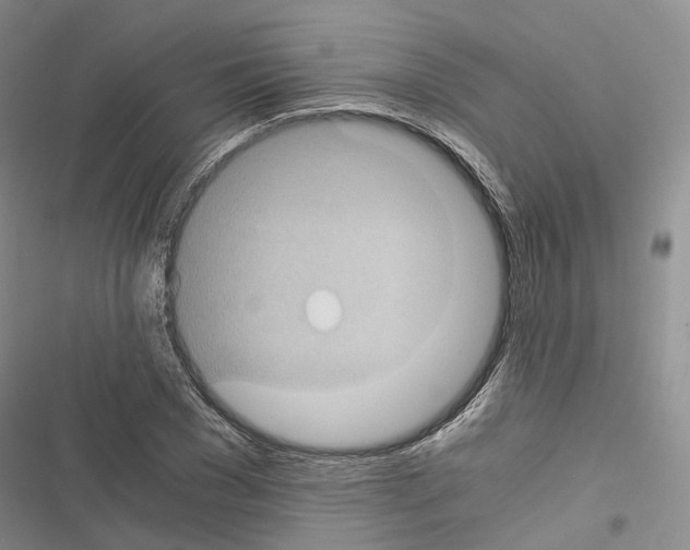 X0000116440977201001191528