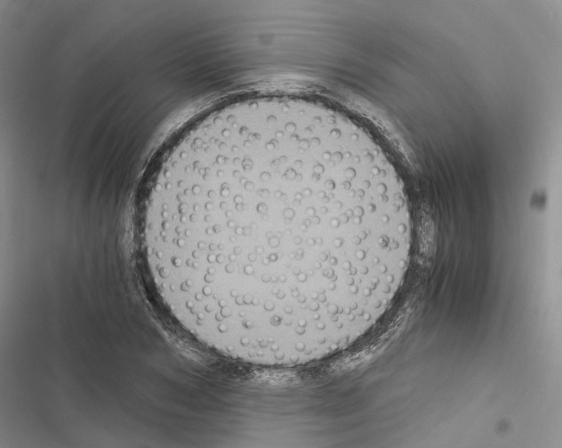 X0000116440978201001191528