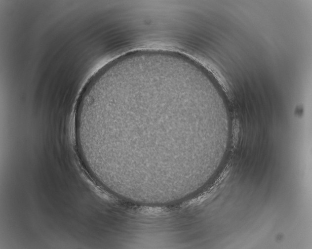 X0000116440982201001191528