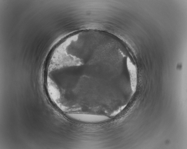 X0000116440983201001191528