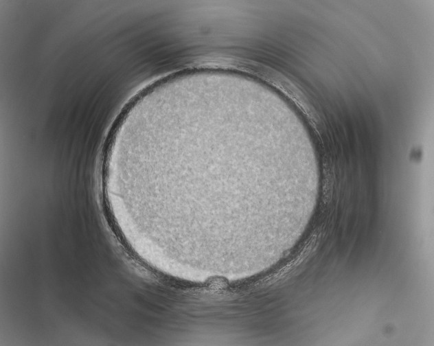 X0000116440984201001191528